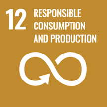 UN Sustainable Development Goal 12: Responsible consumption and production