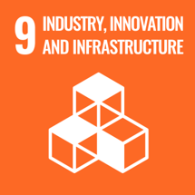 UN Sustainable Development Goal 9: Industry, innovation and infrastructure